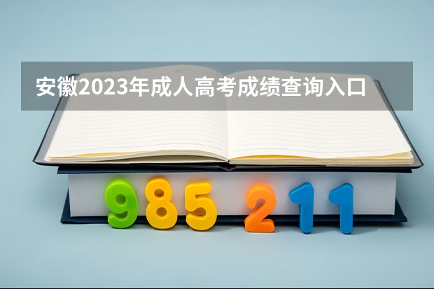 安徽2023年成人高考成绩查询入口官网在哪里？