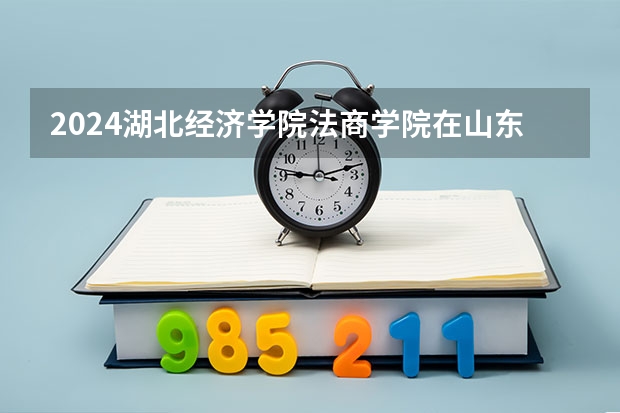 2024湖北经济学院法商学院在山东招生计划 招多少人