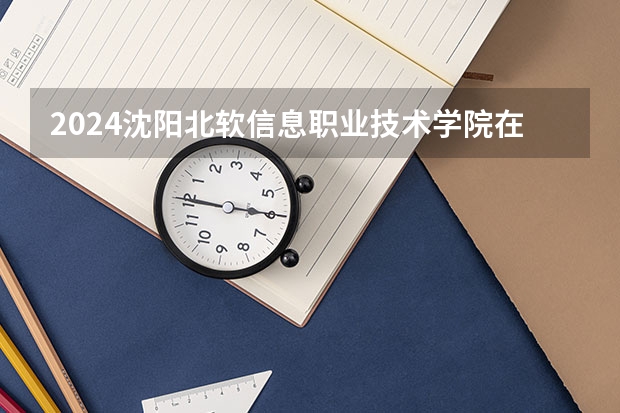2024沈阳北软信息职业技术学院在黑龙江招生计划 招多少人
