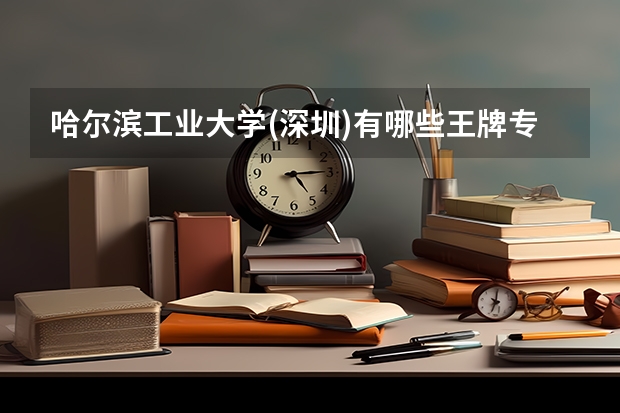 哈尔滨工业大学(深圳)有哪些王牌专业?